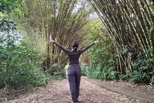 Amazonin seikkailu: Papallacta ja viidakko