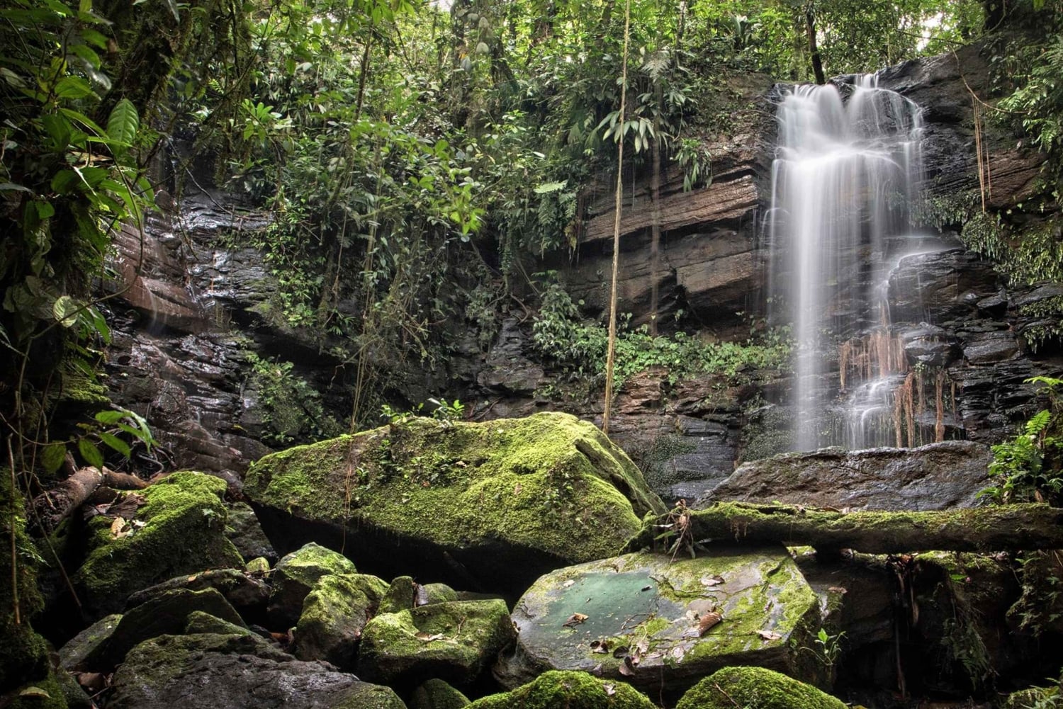 Höhlen-Trekking im Amazonasgebiet Ecuadors mit einheimischem Reiseleiter im Huasquila-Reservat