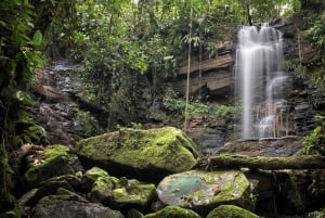 Höhlen-Trekking im Amazonasgebiet Ecuadors mit einheimischem Reiseleiter im Huasquila-Reservat