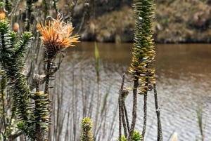 Wellness in den Anden – Wanderung & heiße Quellen von Papallacta