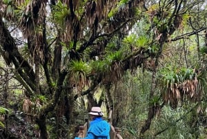 Wellness in den Anden – Wanderung & heiße Quellen von Papallacta