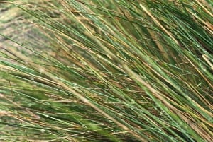 Wellness in den Anden – Wanderung & heiße Quellen von Papallacta