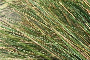 ملاذ الأنديز الصحي - جولة مشي طويلة والينابيع الساخنة في بابالاكتا