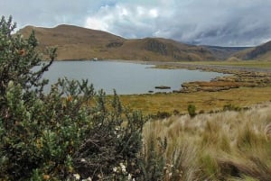 Antisana Nationaal Park - Andes Condor spotten