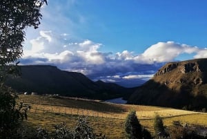 Antisana Nationaal Park - Andes Condor spotten