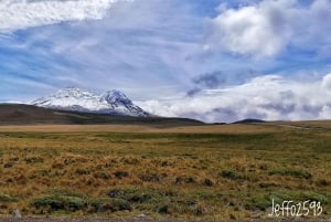 Antisana Nationaal Park - Andes Condor spotten