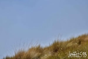 Antisana Nationaal Park - Andes Condor spotten