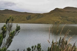 Antisana Nationaal Park - Andes Condor spotten