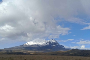 Antisana-kierros Quitosta: Andean Scenery: Condors & Andean Scenery
