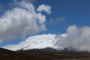 Excursión Privada Volcán Antisana: Cóndores y aves andinas Wat