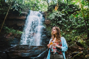 أركيدونا: أمازون الكل مشمول 4د/3ن