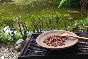 أركيدونا: أمازون الكل مشمول 4د/3ن