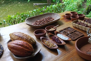 أركيدونا: أمازون الكل مشمول 4د/3ن