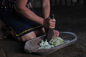 أركيدونا: أمازون الكل مشمول 4د/3ن