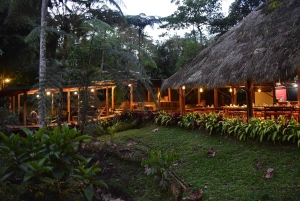 أركيدونا: أمازون الكل مشمول 4د/3ن