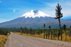 Avenue of the Volcanos, Ecuador - 10 Days