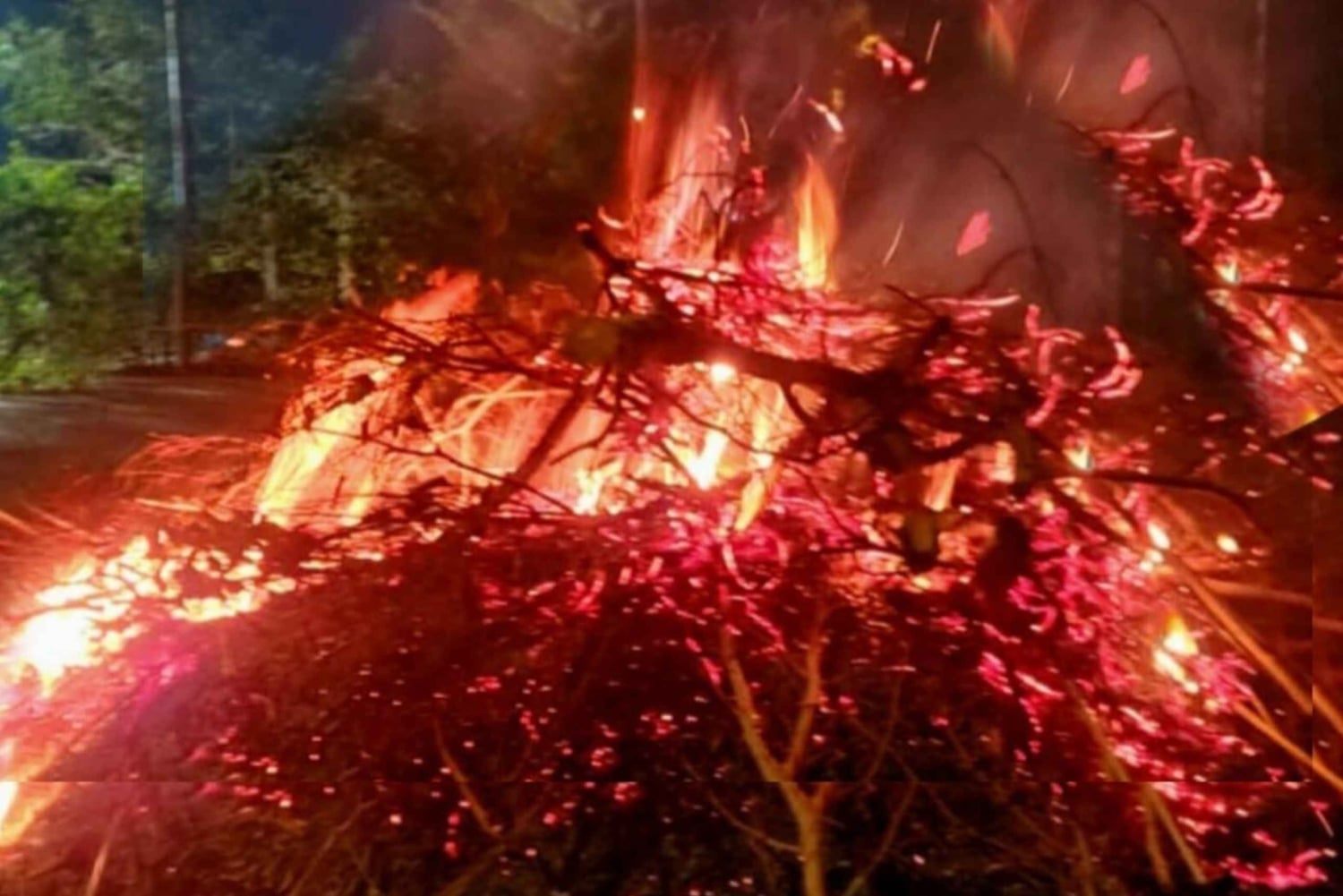 ENCONTRO DE CONSCIÊNCIA ESPIRITUAL AYAHUASCA