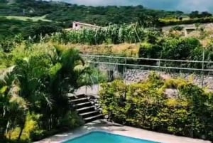 ENCONTRO DE CONSCIÊNCIA ESPIRITUAL AYAHUASCA