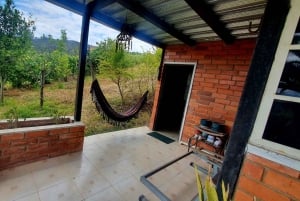 ENCONTRO DE CONSCIÊNCIA ESPIRITUAL AYAHUASCA