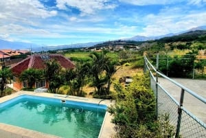 ENCONTRO DE CONSCIÊNCIA ESPIRITUAL AYAHUASCA