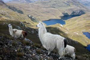 Azuay Cuenca Ecuador Tour