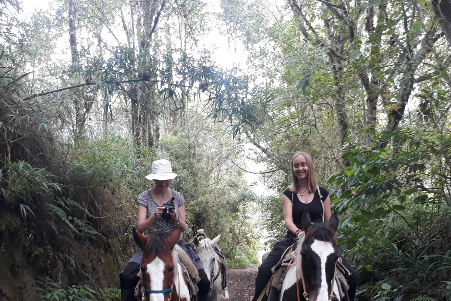 Baños: 2 uur paardrijden met uitzicht op Tungurahua