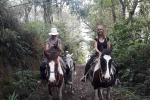 Baños: 2 Hours Horseback Riding with Tungurahua Views