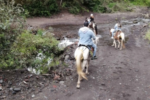 Baños: 2 uur paardrijden met uitzicht op Tungurahua