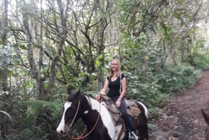 Banos: 3 Hours Horseback Riding with Tungurahua Views
