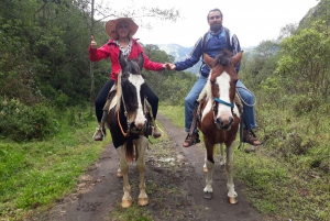 Banos: 3 Stunden Reiten mit Blick auf den Tungurahua
