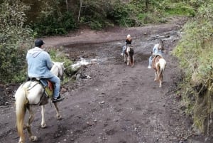 Baños: 3 Horas de Cabalgata con Vistas al Tungurahua