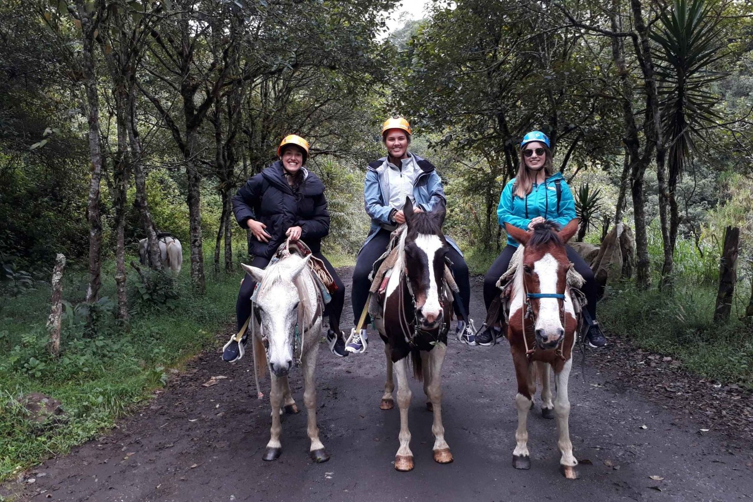 Baños: 5 timmars ridning med utsikt över Tungurahua