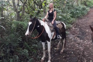 Baños: 5 uur paardrijden met uitzicht op Tungurahua