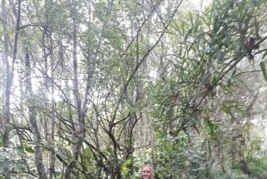 Baños: 5 Stunden Reiten mit Blick auf den Tungurahua