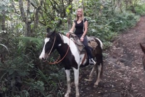 Baños: 5 Stunden Reiten mit Blick auf den Tungurahua