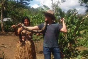 Baños: Jungle and Indigenous Community Full Day