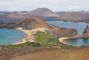 Excursion d'une journée à Bartolome