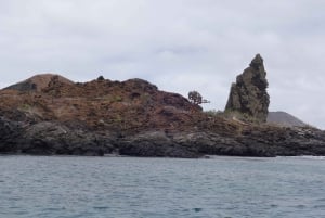 Excursion d'une journée à Bartolome