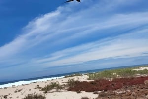 BEST BIRDWATCHING & SNORKELING TOUR AT NORTH SEYMOUR ISLAND