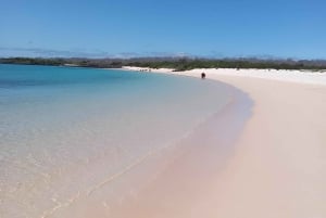 BEST BIRDWATCHING & SNORKELING TOUR AT NORTH SEYMOUR ISLAND