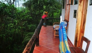 Birdwatcher's House