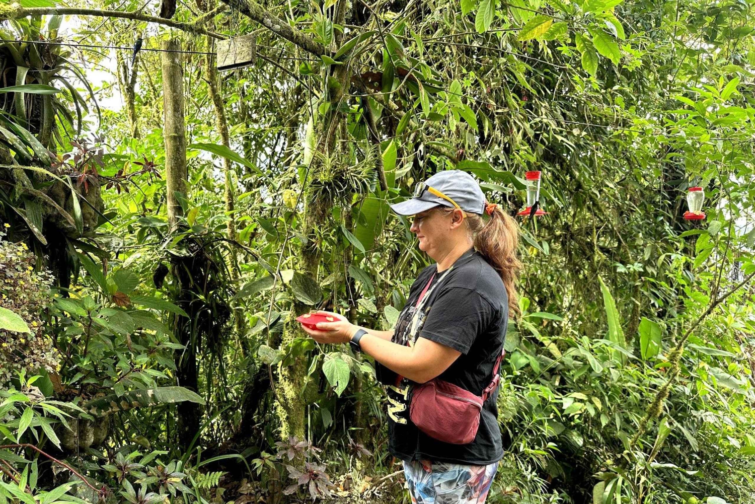 مغامرة مراقبة الطيور + جولة في مدينة كويتو ونصب خط الاستواء
