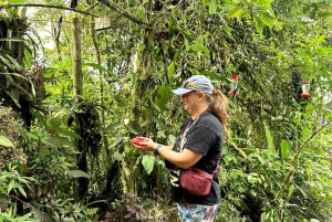 مغامرة مراقبة الطيور + جولة في مدينة كويتو ونصب خط الاستواء
