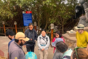 مغامرة مراقبة الطيور + جولة في مدينة كويتو ونصب خط الاستواء