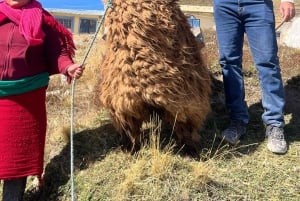 بوليفار: جولة RPF تشيمبورازو + ساليناس من غواراندا