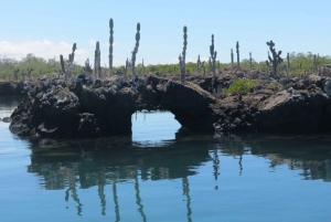 From Isabela: Cabo Rosa Tunnels, Hiking and Snorkeling Tour