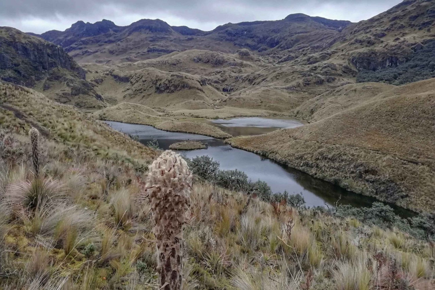 Cajas National Park Day Trip