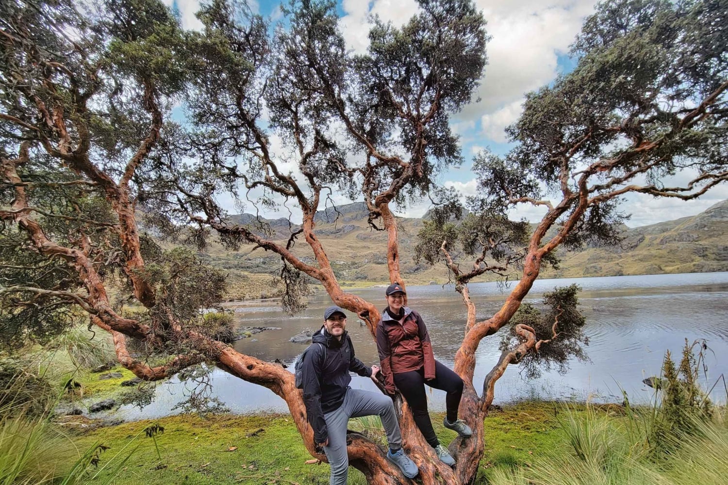 Cajas National Park Half-Day Escapade