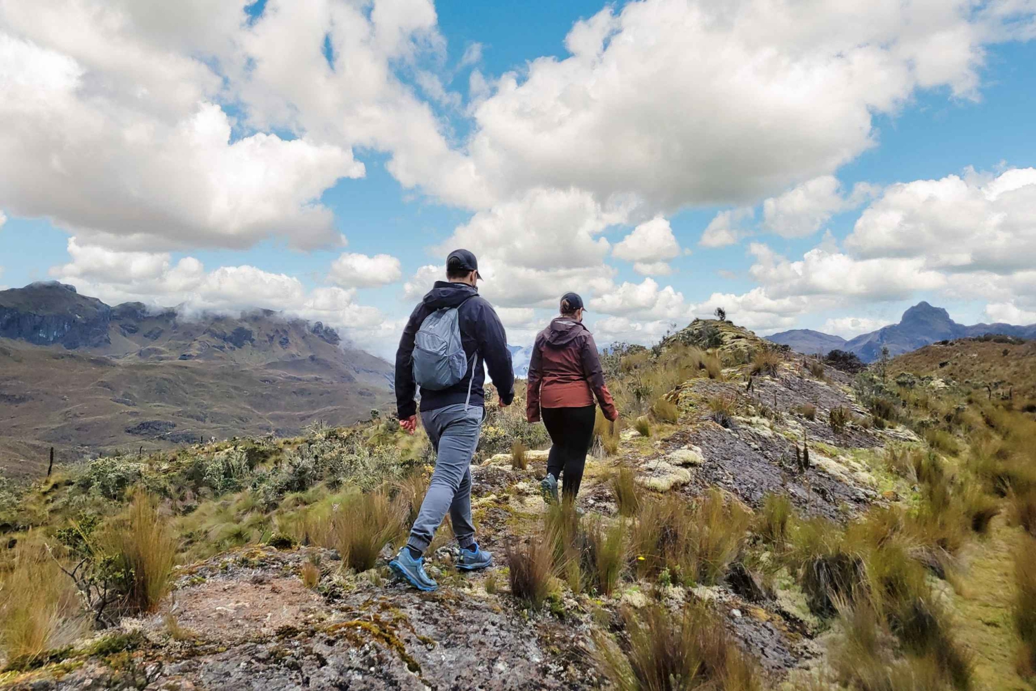 Cajas National Park Half-Day Escapade