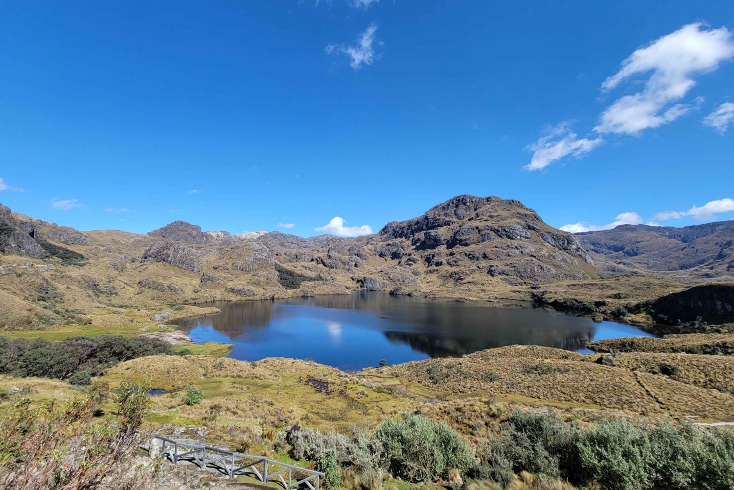 Cajas National Park Half-Day Escapade